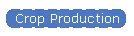 Crop Production